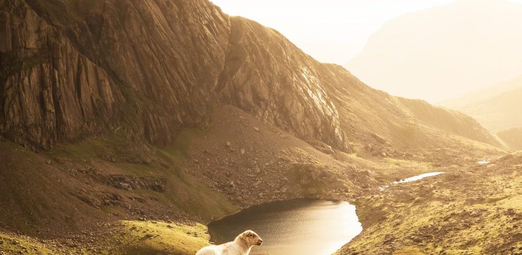 Icebreaker vs Smartwool Who Makes the Best Merino Wool Clothes?