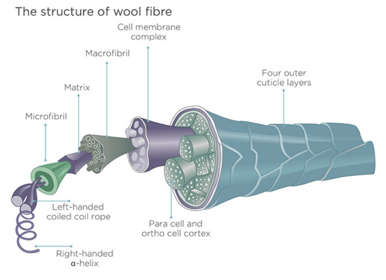 benefits of merino wool